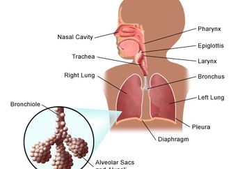 Gejala Pneumonia pada Anak Sering Dikira Batuk Pilek Biasa