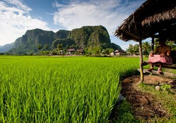 Geopark Maros Pangkep Diakui sebagai Geopark Dunia, Apa Istimewanya?