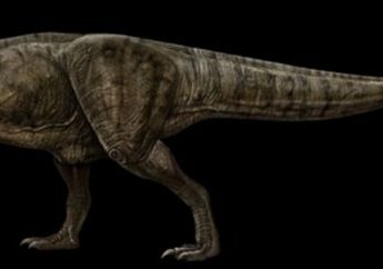 <i>Tyrannosaurus Rex</i> Tak Semenakutkan Seperti di Film Jurrasic Park