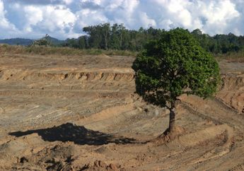 Hutan Menjadi Jembatan Transisi Energi