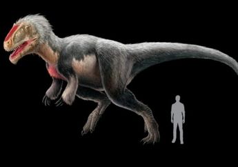 Ketiadaan Bulu Sebabkan Jurassic Park 4 Dikritik