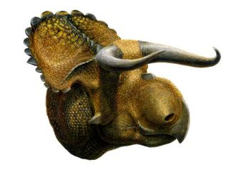 Ditemukan, Spesies Dinosaurus Berhidung Besar