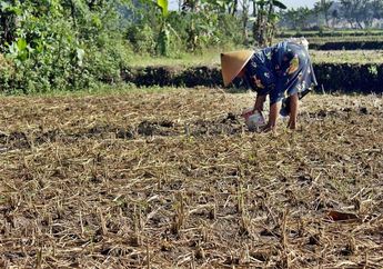 Alami Kekeringan Akibat Kemarau Panjang, Warga Desa di Boyolali Terpaksa Jual Kesayangannya Ini Demi Air Bersih
