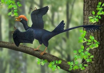 Ditemukan, Burung Purba Berekor Dua