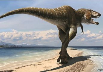 Sisa-sisa Fosil Tyrannosaurus Mini Ditemukan di Arktik