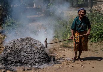 Menyulap Limbah Padi Indonesia Menjadi Energi Listrik Berbiaya Rendah
