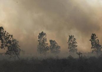 Kebakaran Deforestasi Indonesia Sumbang 7% Emisi Gas Rumah Kaca Dunia