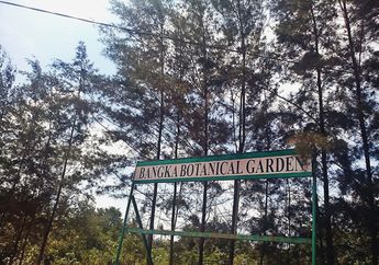 Inilah Oase Hijau di Pulau Bangka
