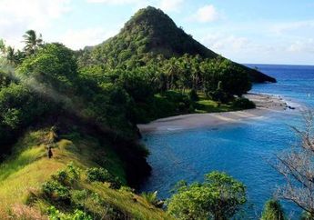 Manumpitaeng, Mengintip Burung Gosong Bertelur di Pulau Perawan