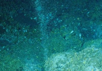 Methanotroph, Bakteri yang Bisa Menyelamatkan Bumi dari Efek Rumah Kaca