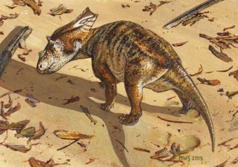 Tapak Dinosaurus Berusia 230 Juta Tahun Ditemukan di Utara Barcelona