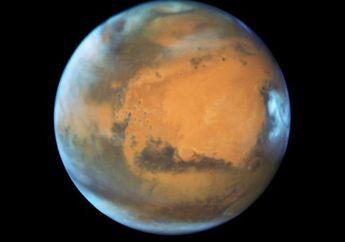 Rencana NASA Kirim Lebah ke Mars