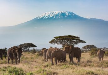 Bermimpi Mendaki Tujuh Gunung Tertinggi di Dunia? Simak Dulu Persiapannya