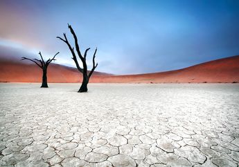 ‘Skenario 2050’, Prediksi Peneliti Tentang Kepunahan Manusia dalam 30 Tahun Mendatang