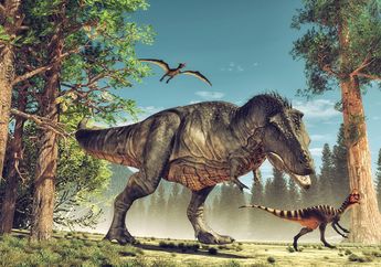 Kontroversi Ilmiah, Benarkah Ada Spesies Tyrannosaurus selain T. Rex?