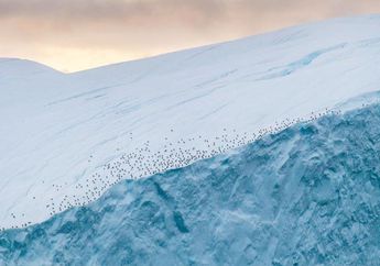 Greenland Bisa Kehilangan Esnya Jika Pemanasan Global Terus Terjadi
