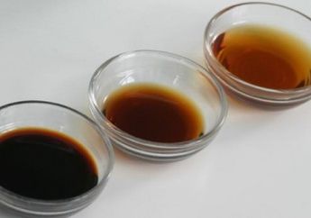 Apa Beda Kecap Inggris dan Kecap Asin Serta Gunanya Pada Masakan? Yuk, Cari Tahu di Sini!
