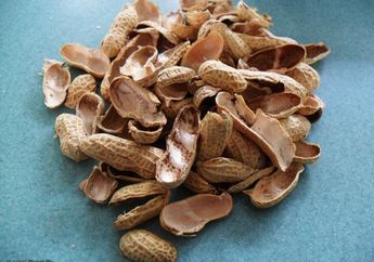 Jangan Dibuang! Ini Dia Ragam Kegunaan Kulit Kacang Dalam Kehidupan Sehari-hari
