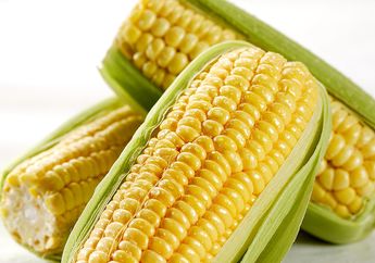 Mau Perut Rata? Jangan Sampai Salah, Ini Dia Deretan Makanan yang Harus Dihindari