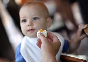 Ternyata Sebutir Telur Sehari Bisa Tingkatkan Fungsi Otak si Kecil
