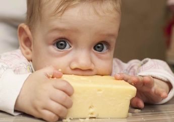 Tak Boleh Sembarangan! Ini Waktu yang Tepat Pemberian Keju Untuk Anak