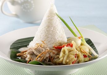 Masih Keburu Membuat Nasi Opor Ayam Suwir Untuk Santap Siang Istimewa