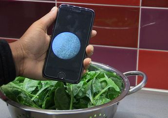 Segera Hadir, Aplikasi Ponsel Pendeteksi Bakteri Pada Makanan, Canggih Banget!