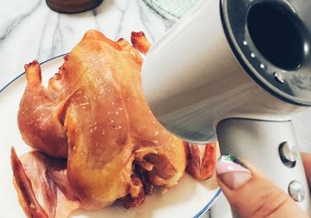 Wanita Ini Panggang Ayam Dengan Hair Dryer Seharga 5 Juta Rupiah, Hasilnya Bikin Melongo