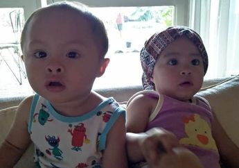 Ikan Teri Jadi Menu Andalan Cynthia Lamusu, Ini Khasiatnya untuk Anak!