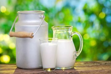 lemak trans pada susu terbukti tidak berbahaya