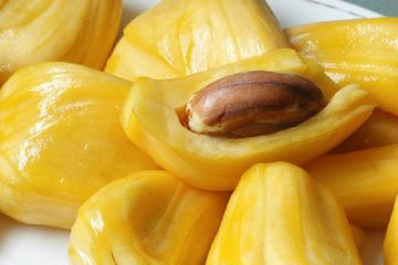 Khasiat biji nangka untuk kesehatan dan kecantikan