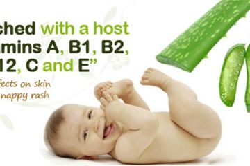 Aloe Vera Punya Banyak Manfaat Untuk Bayi Bisa Mengatasi Ruam Popok Semua Halaman Nakita