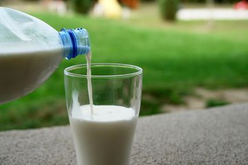 Tulang yang kuat dapat diperoleh dari asupan kalsium dan vitamin D.