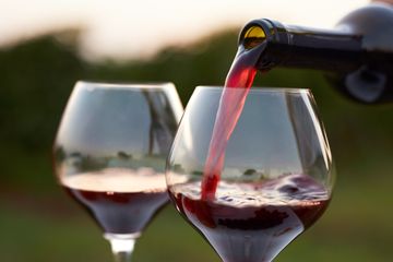 Minum wine dapat mengacaukan keinginan berhenti merokok.