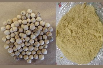 Cara menagatasi asam urat dengan bahan alami lada.
