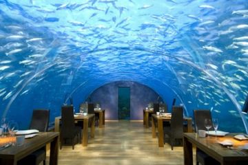 Contoh Konsep Restoran
