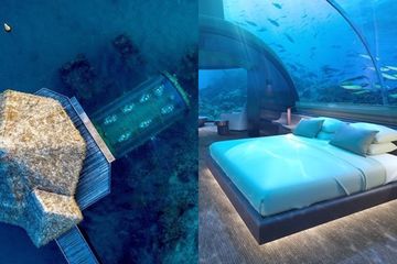 460+ Gambar Kolase Laut Gratis Terbaru