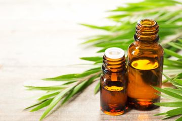 Tea Tree Oil Bisa Jadi Pilihan Alami Atasi Penyakit Infeksi Telinga