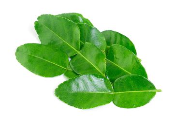 Beli Banyak Tapi Hanya Pakai Sedikit Simpan Daun Jeruk Dengan Cara Ini Supaya Segarnya Tahan Lama Semua Halaman Sajian Sedap