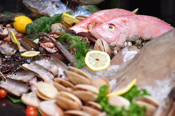 Seafood dikenal sebagai sumber makanan dengan beragam nutrisi seperti protein, asam amino, serta vitamin dan mineral.