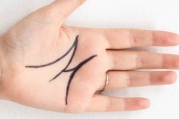 Download 5400 Gambar Garis Tangan Orang Sukses Keren HD