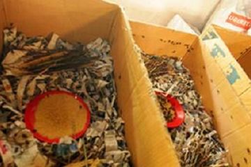 Berita Fedex Terbaru Hari Ini - Grid.ID