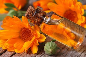 Minyak calendula memiliki sifat antijamur, anti-inflamasi, dan antibakteri yang berguna dalam menyembuhkan luka.