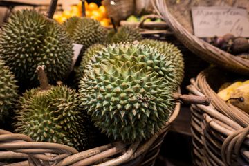 Pesta Durian Berujung Fatal, Menelan Korban Jiwa Seorang Sopir Angkot