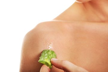 Cara Menyamarkan Stretch Marks Dengan Aloe Vera Kamu Harus Tahu Semua Halaman Stylo