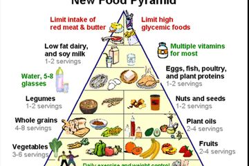 Piramida makanan dapat bermanfaat untuk.....