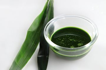 Lebih Mujarab Dari Obat Rebusan Daun Suji Ternyata Manfaatnya Gak Main Main Dari Turunkan Kolesterol Hingga Leukimia Semua Halaman Grid Fame,Film Kartun Panda Dan Beruang