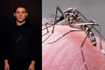 Ajaib Lagu Skrillex Terbukti Ampuh Usir Nyamuk Demam Berdarah