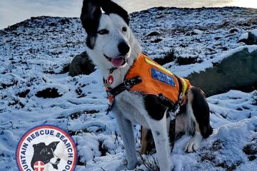 Terkubur Di Dalam Salju Pria Ini Merekam Video Penyelamatan Yang