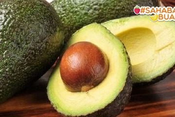 Makan Satu Buah Alpukat Setelah Bangun Tidur Tubuh Sahabatbuah Akan Langsung Merasakan Hal Tak Biasa Ini Semua Halaman Sajian Sedap